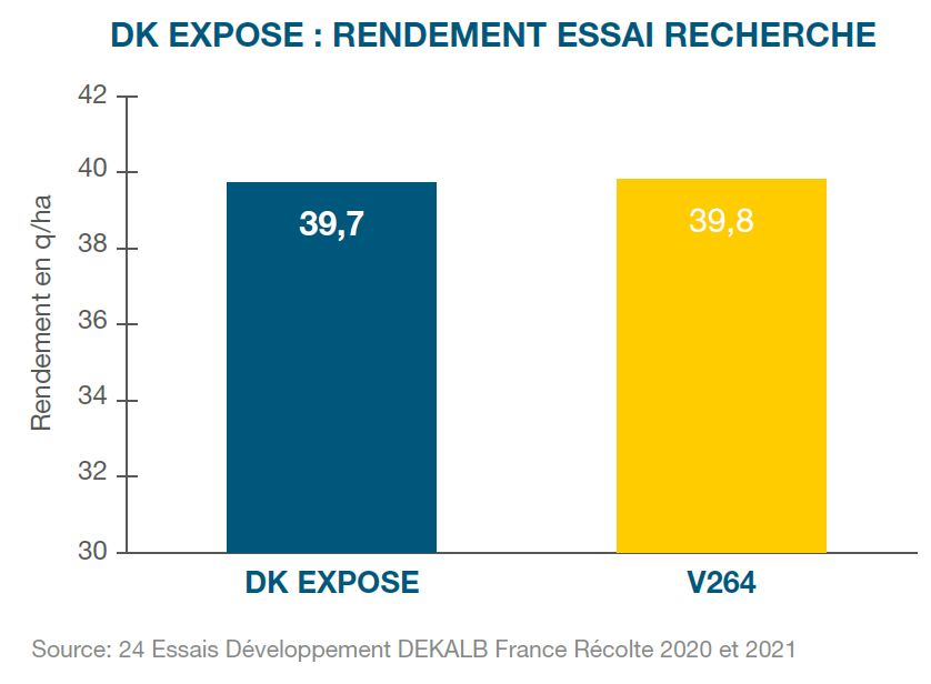 DK EXPOSE