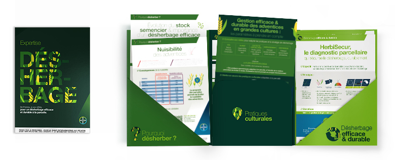Dossier d'expertise : pour un désherbage efficace et durable dans la rotation