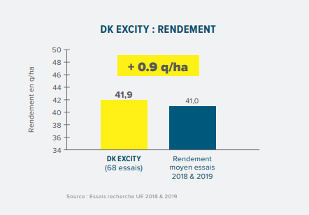 DK EXCITY