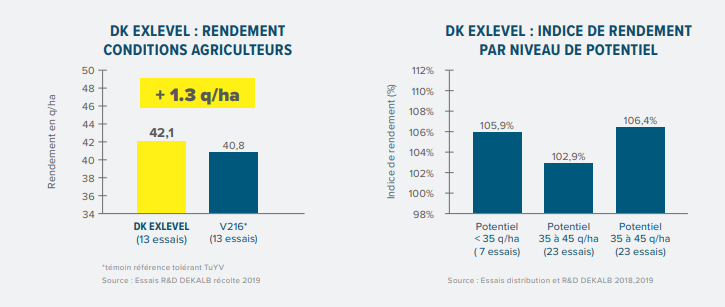 DK EXLEVEL