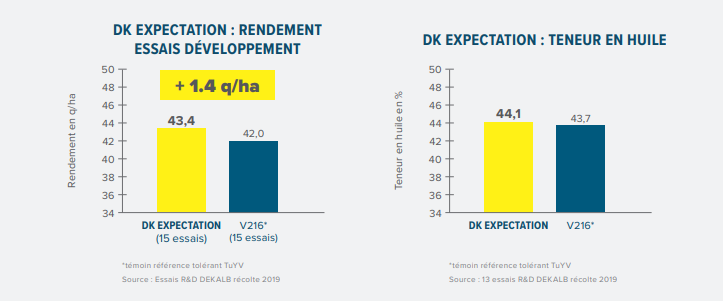 DK EXPECTATION
