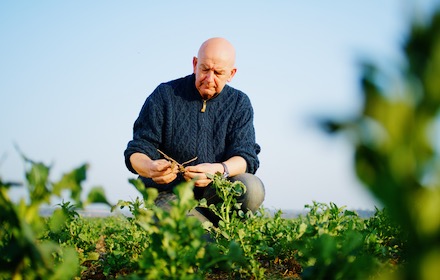 Webinar. Carbone : quelles opportunités pour les agriculteurs en grands cultures ?