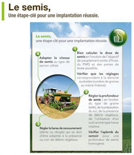 Les bonnes pratiques, ça se partage : Bayer-Agri, conseils phyto