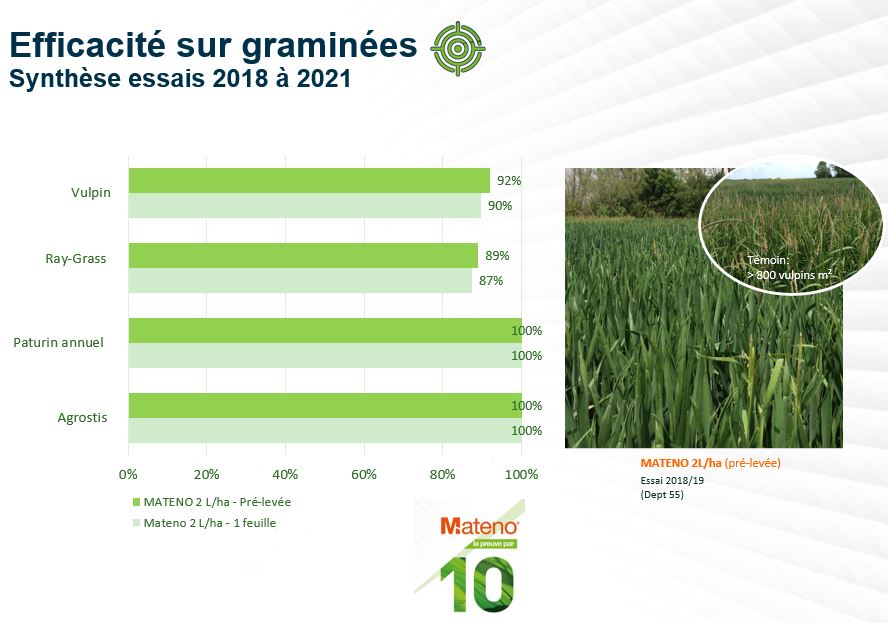 Histogramme horizontal montrant l'efficacité du Mateno sur graminées telles que vulpin, ray-grass, paturin annuel et agrostis, sur la base d'une synthèse d'essais de 2018 à 2021